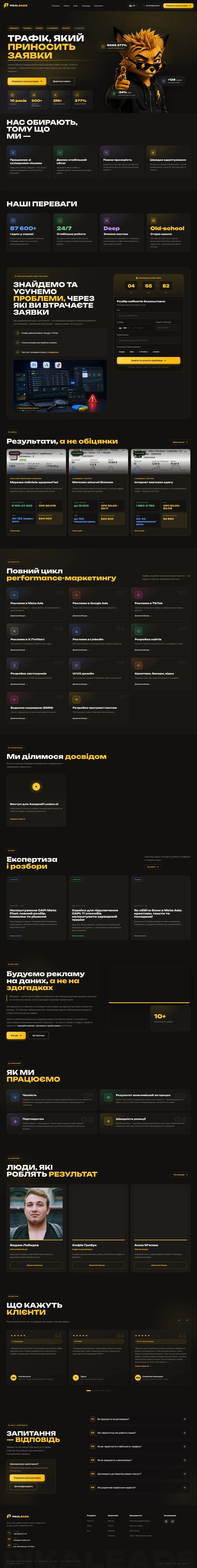 Pika Leads home page in full