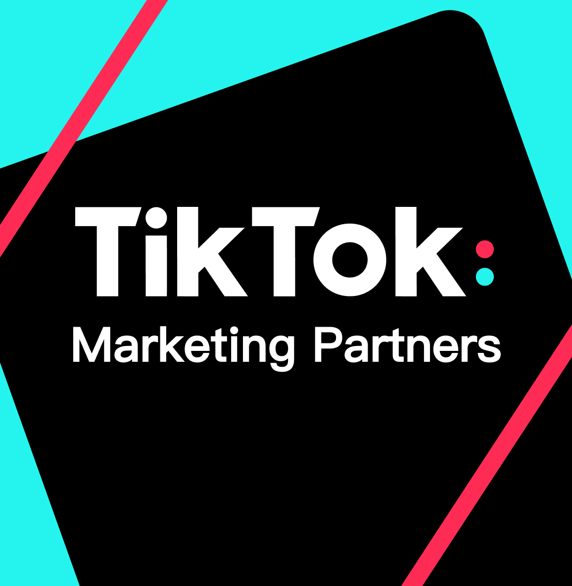 TikTok Marketing Partner